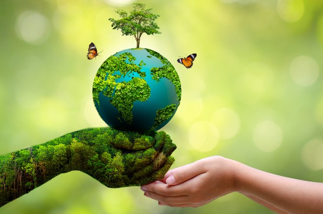 Today world environment day 2024