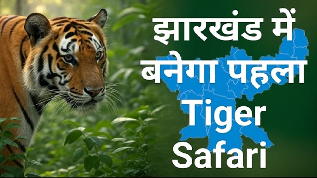 Tiger Safari In Jharkhand
